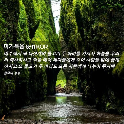 Picture 02 - 마가복음 6:41 KOR - 예수께서 떡 다섯개와 물고기 두 - Bible Verse Picture
