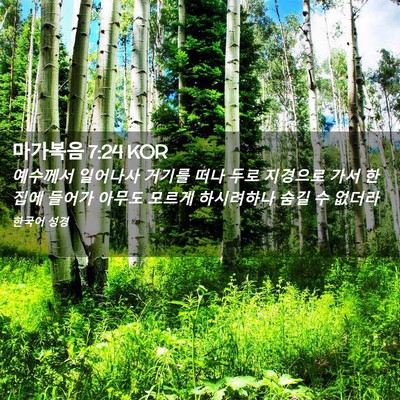 Picture 02 - 마가복음 7:24 KOR - 예수께서 일어나사 거기를 떠나 두로 - Bible Verse Picture