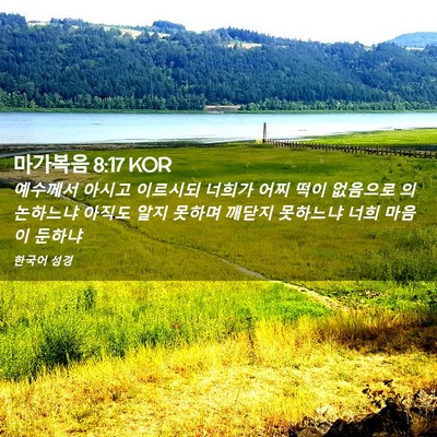 Picture 02 - 마가복음 8:17 KOR - 예수께서 아시고 이르시되 너희가 - Bible Verse Picture