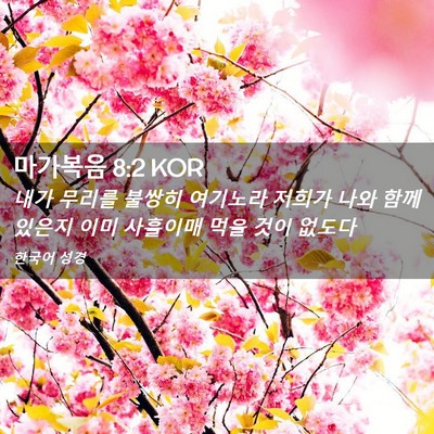 Picture 02 - 마가복음 8:2 KOR - 내가 무리를 불쌍히 여기노라 저희가 - Bible Verse Picture