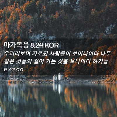 Picture 02 - 마가복음 8:24 KOR - 우러러보며 가로되 사람들이 - Bible Verse Picture