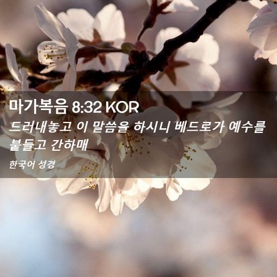 Picture 02 - 마가복음 8:32 KOR - 드러내놓고 이 말씀을 하시니 - Bible Verse Picture