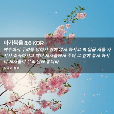 Picture 02 - 마가복음 8:6 KOR - 예수께서 무리를 명하사 땅에 앉게 - Bible Verse Picture