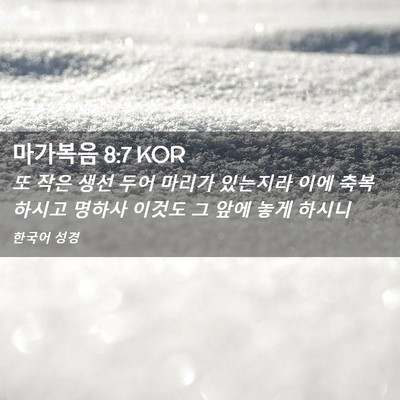 Picture 02 - 마가복음 8:7 KOR - 또 작은 생선 두어 마리가 있는지라 - Bible Verse Picture