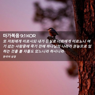 Picture 02 - 마가복음 9:1 KOR - 또 저희에게 이르시되 내가 진실로 - Bible Verse Picture
