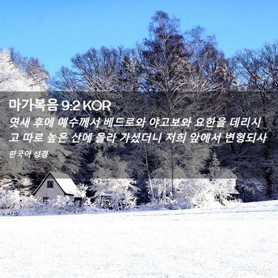 Picture 02 - 마가복음 9:2 KOR - 엿새 후에 예수께서 베드로와 - Bible Verse Picture