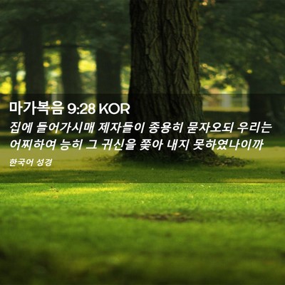 Picture 02 - 마가복음 9:28 KOR - 집에 들어가시매 제자들이 종용히 - Bible Verse Picture