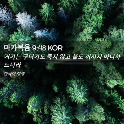 Picture 02 - 마가복음 9:48 KOR - 거기는 구더기도 죽지 않고 불도 - Bible Verse Picture