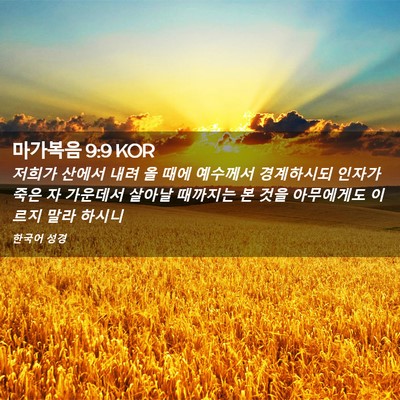 Picture 02 - 마가복음 9:9 KOR - 저희가 산에서 내려 올 때에 - Bible Verse Picture