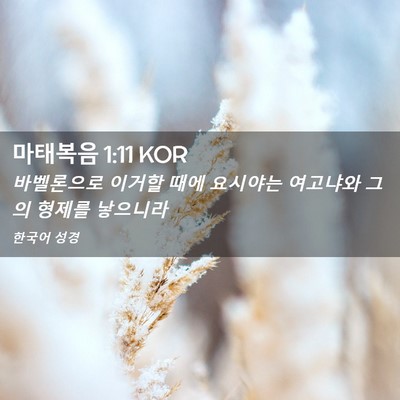 Picture 02 - 마태복음 1:11 KOR - 바벨론으로 이거할 때에 요시야는 - Bible Verse Picture