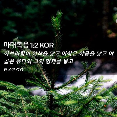 Picture 02 - 마태복음 1:2 KOR - 아브라함이 이삭을 낳고 이삭은 - Bible Verse Picture