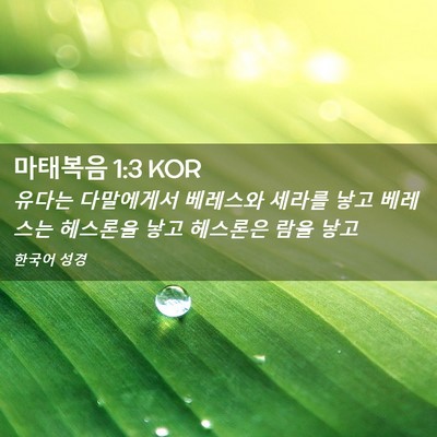 Picture 02 - 마태복음 1:3 KOR - 유다는 다말에게서 베레스와 세라를 - Bible Verse Picture