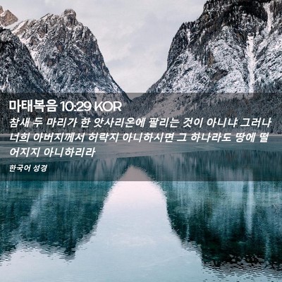 Picture 02 - 마태복음 10:29 KOR - 참새 두 마리가 한 앗사리온에 - Bible Verse Picture