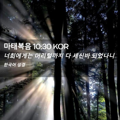 Picture 02 - 마태복음 10:30 KOR - 너희에게는 머리털까지 다 세신바 - Bible Verse Picture