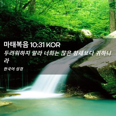 Picture 02 - 마태복음 10:31 KOR - 두려워하지 말라 너희는 많은 - Bible Verse Picture