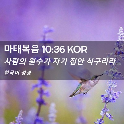 Picture 02 - 마태복음 10:36 KOR - 사람의 원수가 자기 집안 - Bible Verse Picture