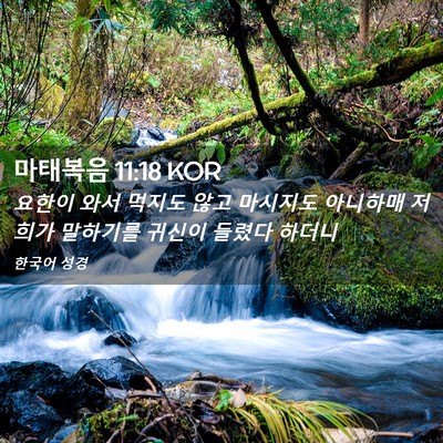 Picture 02 - 마태복음 11:18 KOR - 요한이 와서 먹지도 않고 마시지도 - Bible Verse Picture