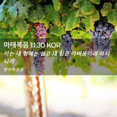 Picture 02 - 마태복음 11:30 KOR - 이는 내 멍에는 쉽고 내 짐은 - Bible Verse Picture