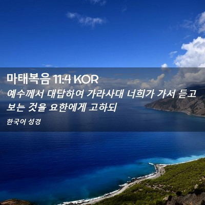 Picture 02 - 마태복음 11:4 KOR - 예수께서 대답하여 가라사대 너희가 - Bible Verse Picture