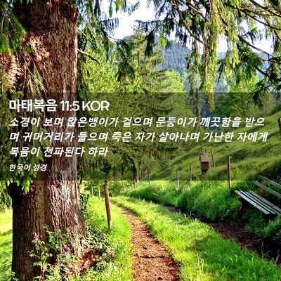 Picture 02 - 마태복음 11:5 KOR - 소경이 보며 앉은뱅이가 걸으며 - Bible Verse Picture