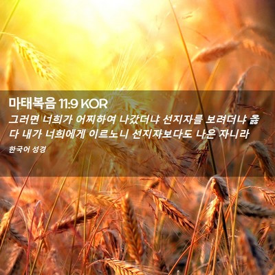 Picture 02 - 마태복음 11:9 KOR - 그러면 너희가 어찌하여 나갔더냐 - Bible Verse Picture