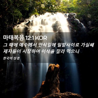 Picture 02 - 마태복음 12:1 KOR - 그 때에 예수께서 안식일에 - Bible Verse Picture