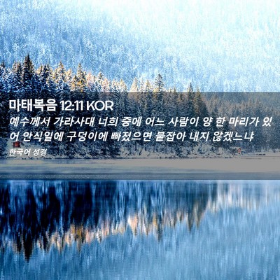 Picture 02 - 마태복음 12:11 KOR - 예수께서 가라사대 너희 중에 어느 - Bible Verse Picture