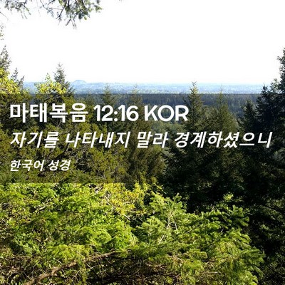 Picture 02 - 마태복음 12:16 KOR - 자기를 나타내지 말라 - Bible Verse Picture