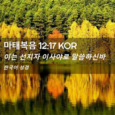 Picture 02 - 마태복음 12:17 KOR - 이는 선지자 이사야로 - Bible Verse Picture