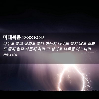 Picture 02 - 마태복음 12:33 KOR - 나무도 좋고 실과도 좋다 하든지 - Bible Verse Picture