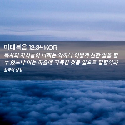 Picture 02 - 마태복음 12:34 KOR - 독사의 자식들아 너희는 악하니 - Bible Verse Picture