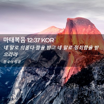Picture 02 - 마태복음 12:37 KOR - 네 말로 의롭다 함을 받고 네 말로 - Bible Verse Picture