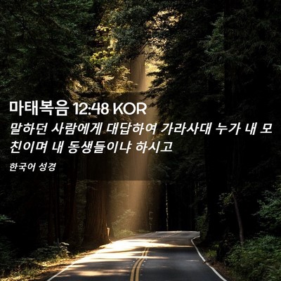 Picture 02 - 마태복음 12:48 KOR - 말하던 사람에게 대답하여 가라사대 - Bible Verse Picture