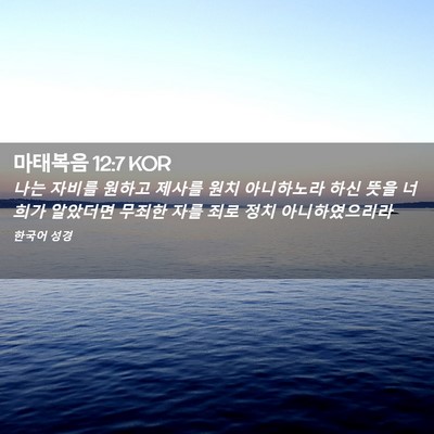 Picture 02 - 마태복음 12:7 KOR - 나는 자비를 원하고 제사를 원치 - Bible Verse Picture