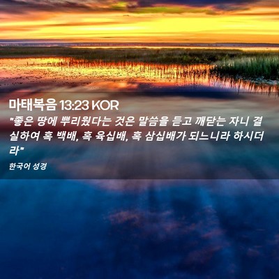 Picture 02 - 마태복음 13:23 KOR - 