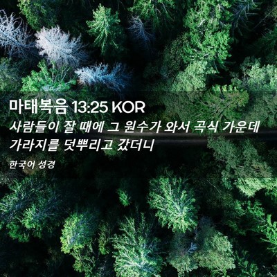 Picture 02 - 마태복음 13:25 KOR - 사람들이 잘 때에 그 원수가 와서 - Bible Verse Picture