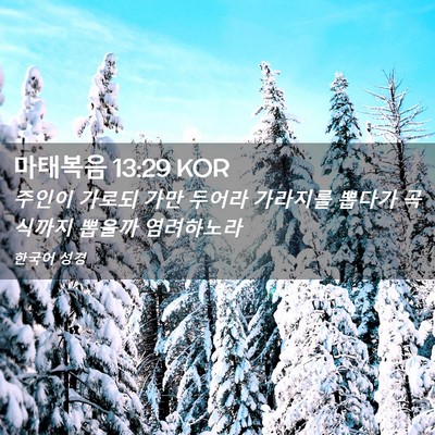 Picture 02 - 마태복음 13:29 KOR - 주인이 가로되 가만 두어라 가라지를 - Bible Verse Picture