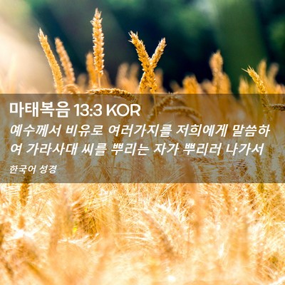 Picture 02 - 마태복음 13:3 KOR - 예수께서 비유로 여러가지를 - Bible Verse Picture