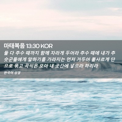 Picture 02 - 마태복음 13:30 KOR - 둘 다 추수 때까지 함께 자라게 - Bible Verse Picture
