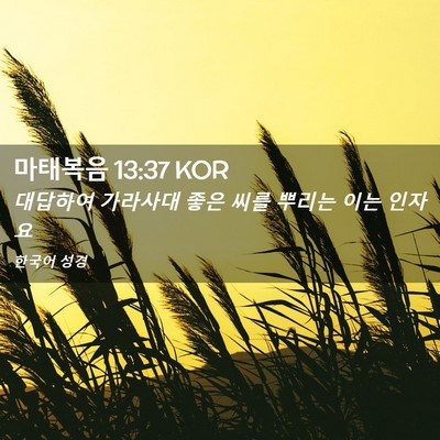 Picture 02 - 마태복음 13:37 KOR - 대답하여 가라사대 좋은 씨를 뿌리는 - Bible Verse Picture