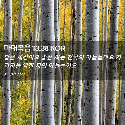 Picture 02 - 마태복음 13:38 KOR - 밭은 세상이요 좋은 씨는 천국의 - Bible Verse Picture