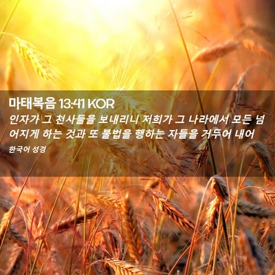 Picture 02 - 마태복음 13:41 KOR - 인자가 그 천사들을 보내리니 저희가 - Bible Verse Picture