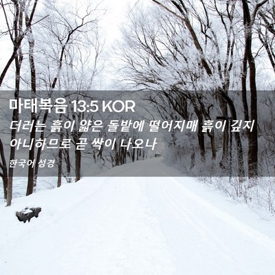 Picture 02 - 마태복음 13:5 KOR - 더러는 흙이 얇은 돌밭에 떨어지매 - Bible Verse Picture