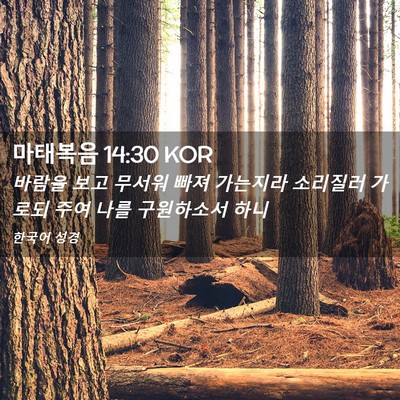 Picture 02 - 마태복음 14:30 KOR - 바람을 보고 무서워 빠져 가는지라 - Bible Verse Picture