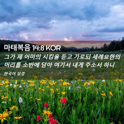 Picture 02 - 마태복음 14:8 KOR - 그가 제 어미의 시킴을 듣고 가로되 - Bible Verse Picture