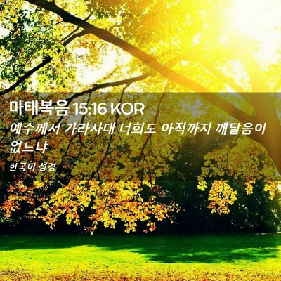 Picture 02 - 마태복음 15:16 KOR - 예수께서 가라사대 너희도 아직까지 - Bible Verse Picture