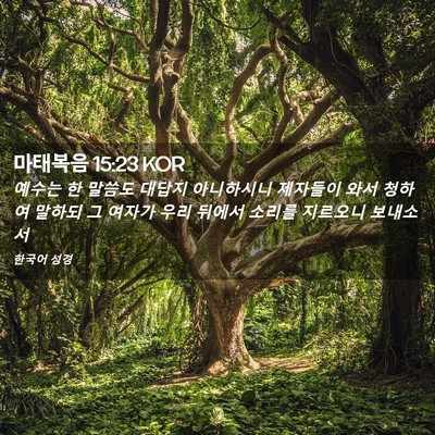 Picture 02 - 마태복음 15:23 KOR - 예수는 한 말씀도 대답지 아니하시니 - Bible Verse Picture