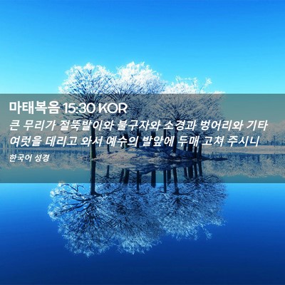 Picture 02 - 마태복음 15:30 KOR - 큰 무리가 절뚝발이와 불구자와 - Bible Verse Picture