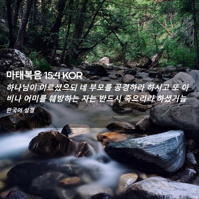Picture 02 - 마태복음 15:4 KOR - 하나님이 이르셨으되 네 부모를 - Bible Verse Picture
