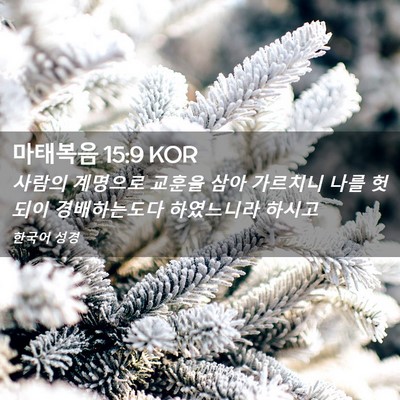 Picture 02 - 마태복음 15:9 KOR - 사람의 계명으로 교훈을 삼아 - Bible Verse Picture